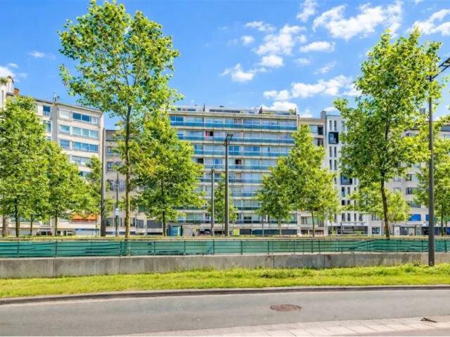 Kot vente à Antwerpen