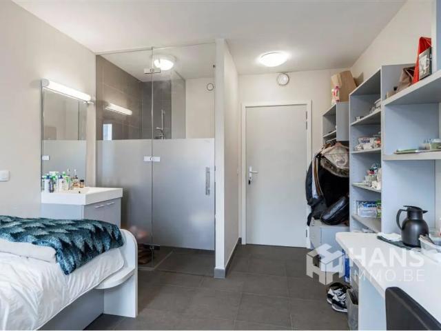 Kot vente à Amandus-Atheneum, Antwerpen