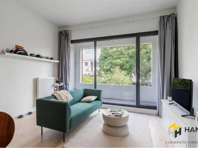 Kot vente à Antwerpen