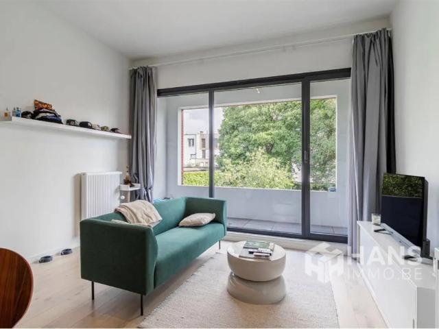 Kot vente à Antwerpen