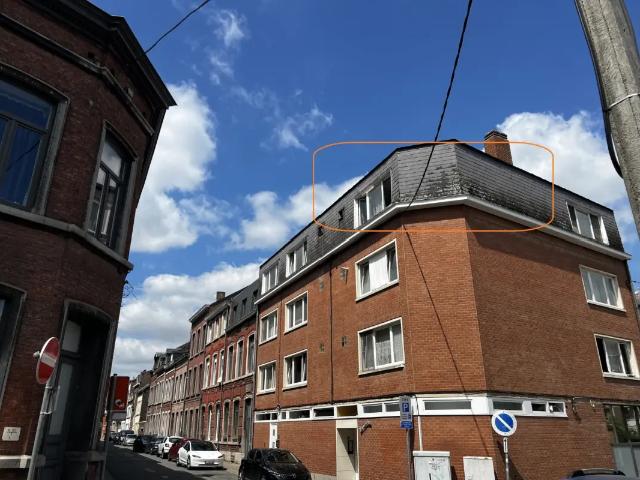 Kot vente à Namen, Wallonie