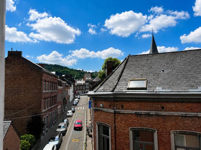 Kot vente à Namen, Wallonie