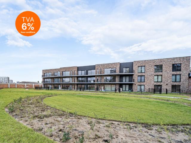 Kot vente à Berchem, Bruxelles