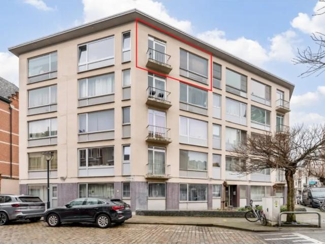 Kot vente à Antwerpen