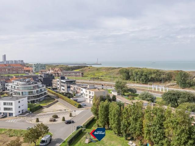 Kot vente à Bredene-Bad, Bredene