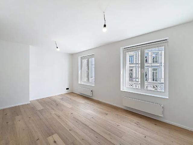 Kot vente à Bruxelles