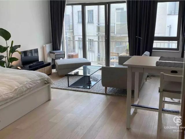 Kot vente à Brussel, Bruxelles