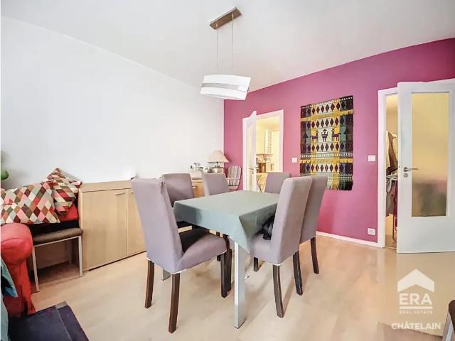 Kot vente à Brussel, Bruxelles