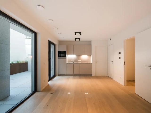 Kot vente à Brussel, Bruxelles