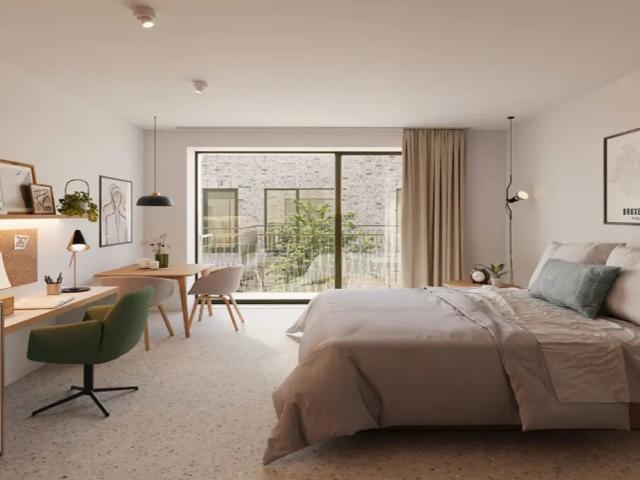 Kot vente à Bruxelles