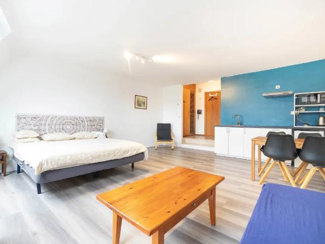 Kot vente à Brussel, Bruxelles