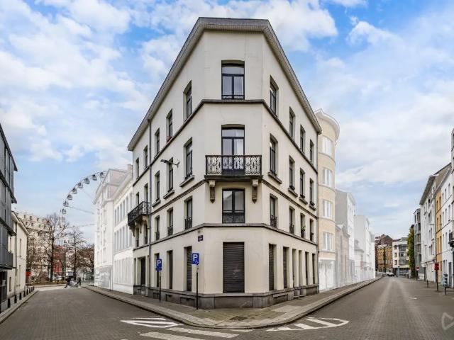 Kot vente à Brussel, Bruxelles