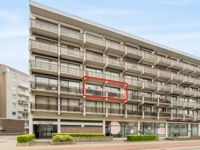 Kot vente à Coxyde, West-Vlaanderen