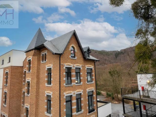 Kot vente à Ene, Wallonie