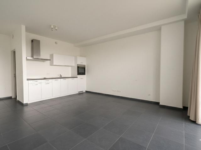 Kot vente à Evere, Bruxelles