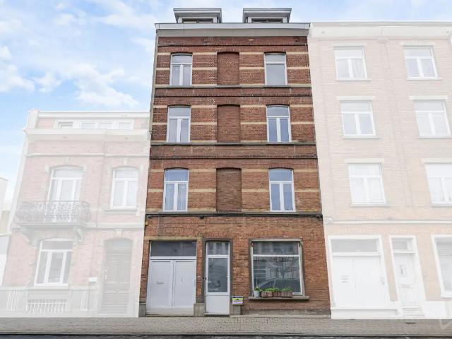 Kot vente à Vorst, Bruxelles