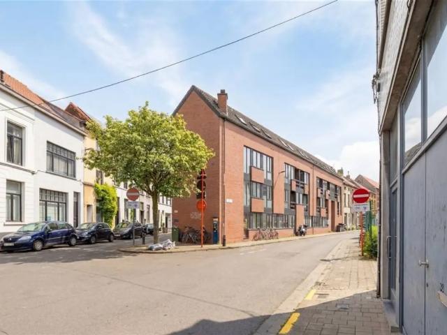 Kot vente à Desteldonk, Oost-Vlaanderen