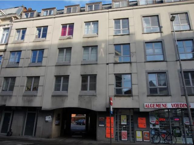 Kot vente à Desteldonk, Oost-Vlaanderen