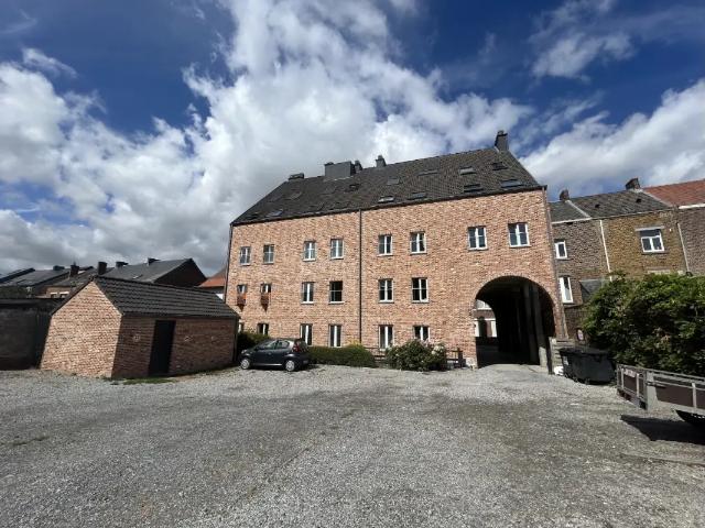 Kot vente à Gembloux, Wallonie