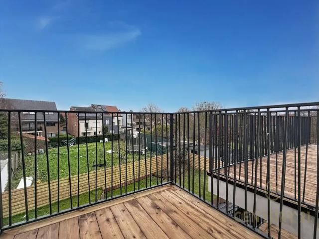 Kot vente à Brussel, Bruxelles