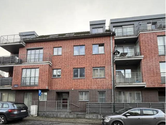 Kot vente à Brussel, Bruxelles