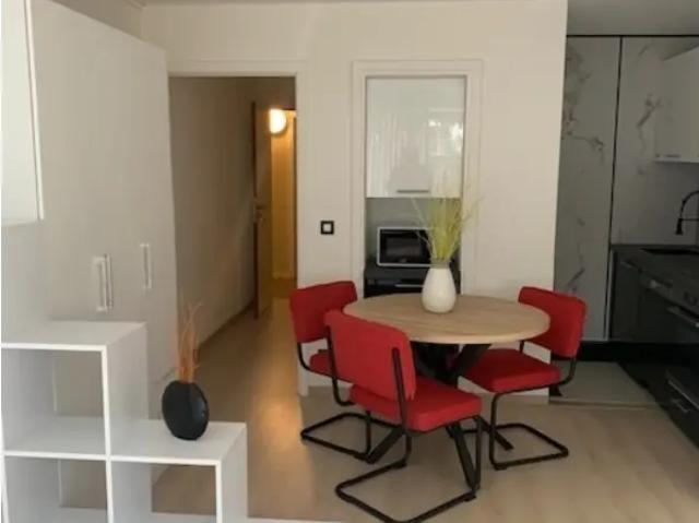 Kot vente à Lava, Brabant