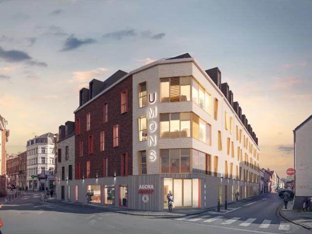 Kot vente à Brussel, Bruxelles