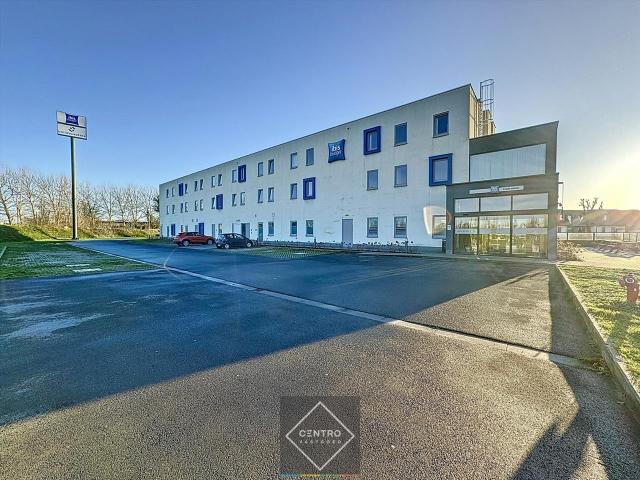 Kot vente à Jabbeke, West-Vlaanderen