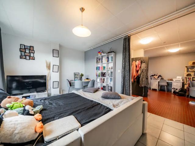 Kot vente à Seraing, Wallonie