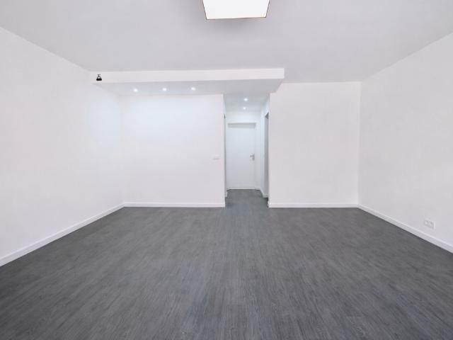 Kot vente à Ganshoren, Bruxelles