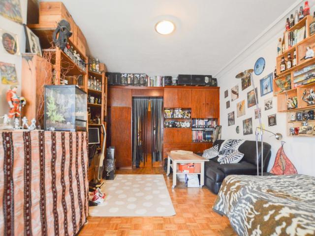 Kot vente à Kukelberg, Bruxelles