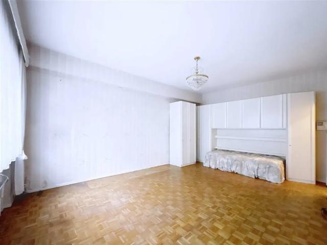 Kot vente à Kukelberg, Bruxelles