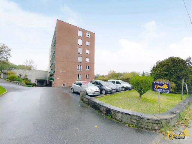 Kot vente à La Louvière, Wallonie