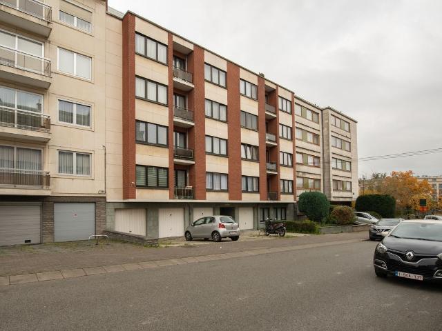 Kot vente à Brussel, Bruxelles