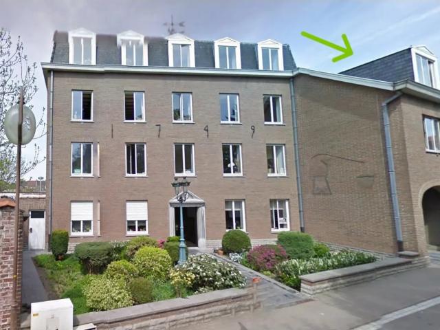 Kot vente à Halle, Brabant