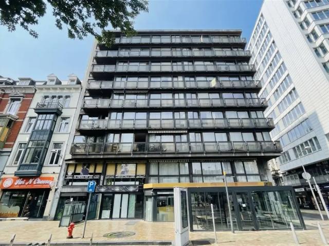 Kot vente à Liège, Wallonie