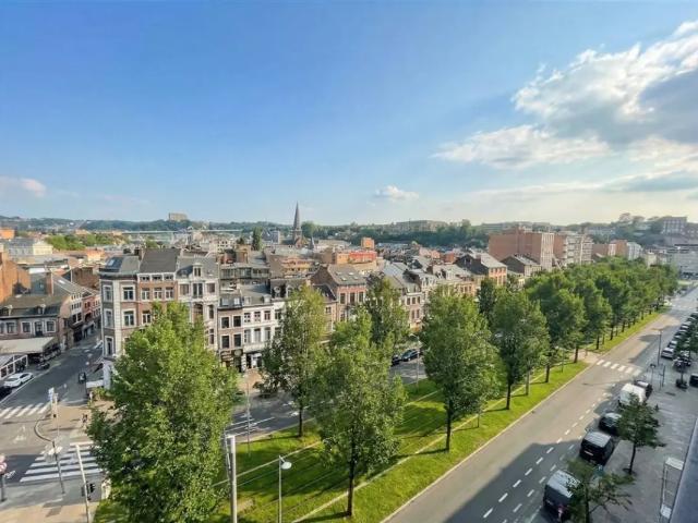 Kot vente à Liège, Wallonie