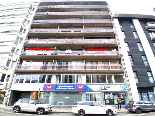 Kot vente à Liège, Wallonie