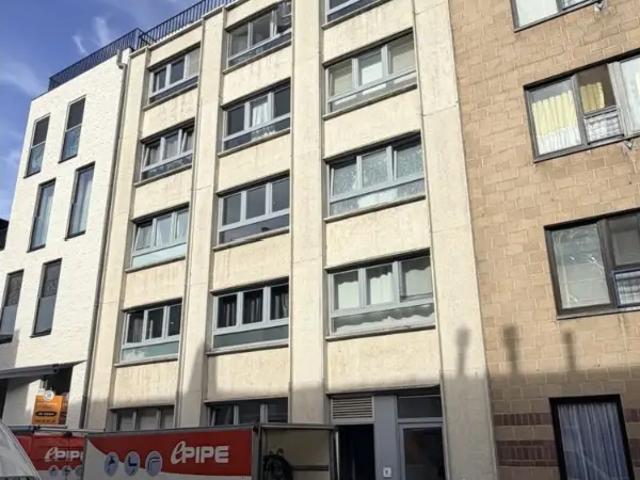 Kot vente à Leuven