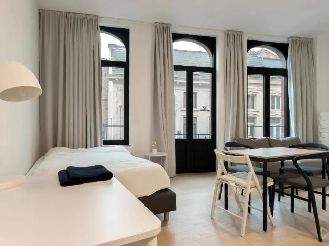 Kot vente à Lava, Brabant