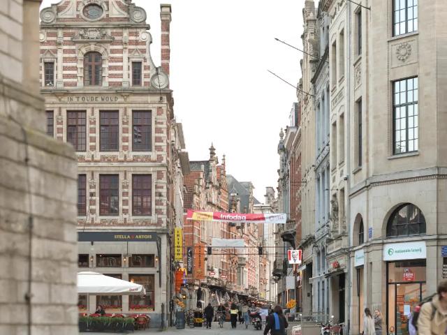 Kot vente à Lava, Brabant