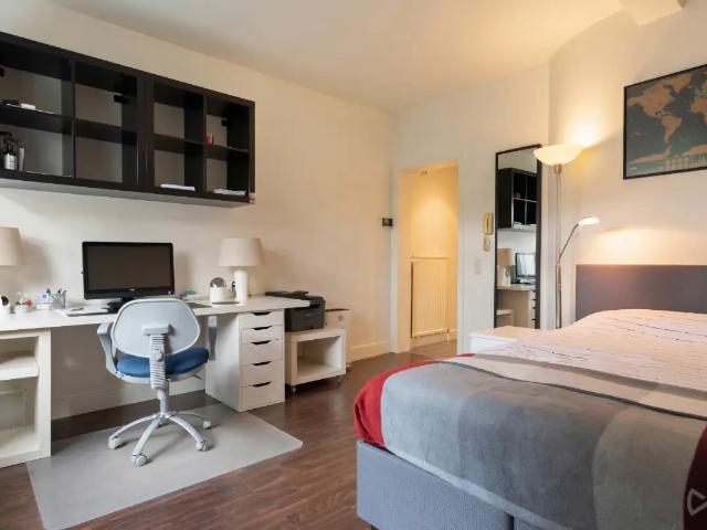 Kot vente à Lava, Brabant