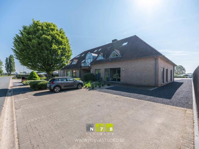 Kot vente à Maaseik, Limburg