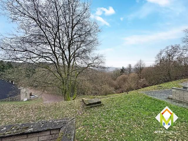 Kot vente à Malmedy, Wallonie