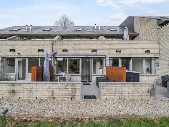 Kot vente à Malmedy, Wallonie