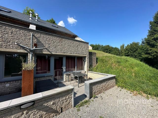 Kot vente à Malmedy, Wallonie