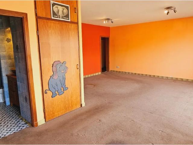 Kot vente à Charleroi, Wallonie