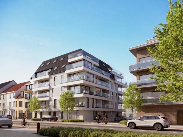 Kot vente à Middelkerke, West-Vlaanderen