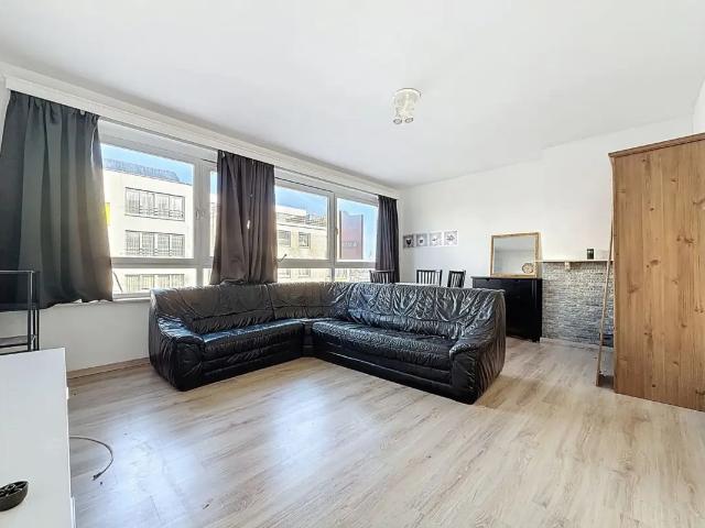 Kot vente à Molem, Bruxelles