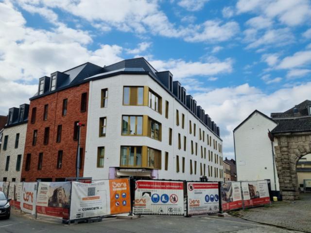 Kot vente à Bergen, Wallonie